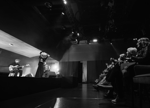 Fotografija 2 - Amira Medunjanin otvorila novu sezonu u Kući umjetnosti Arsen, publika ju nagradila dugotrajnim pljeskom