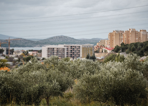 Sunčani vikend uz umjerenu naoblaku, idealno za branje maslina
