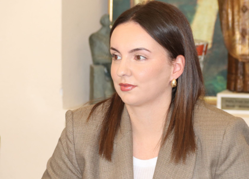 Fotografija 2 - Savjet mladih Grada Šibenika izabrao novo vodstvo