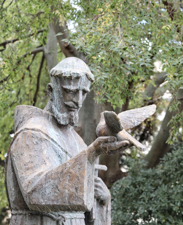 Đir po gradu, subota 25. listopada