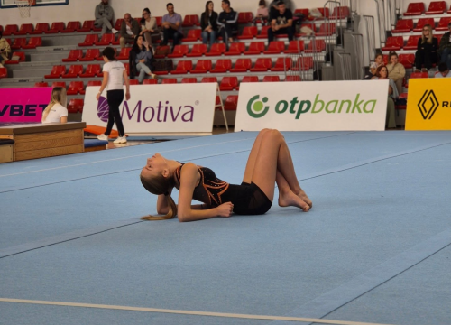 Fotografija 3 - FOTO Gimnastičari Dišpeta ugostili zadnje kolo regije Jug: Spremni za prvenstva države i Balkana