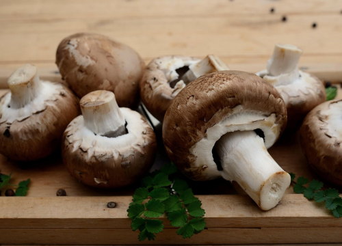 Gljive mogu poboljšati cjelokupno zdravlje. Jedite ih što češće