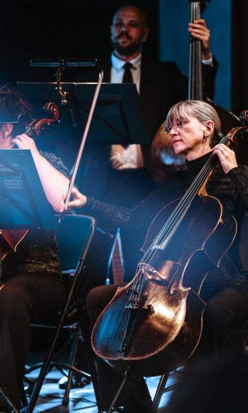 Dubrovački simfonijski orkestar nastupio u Kući umjetnosti Arsen