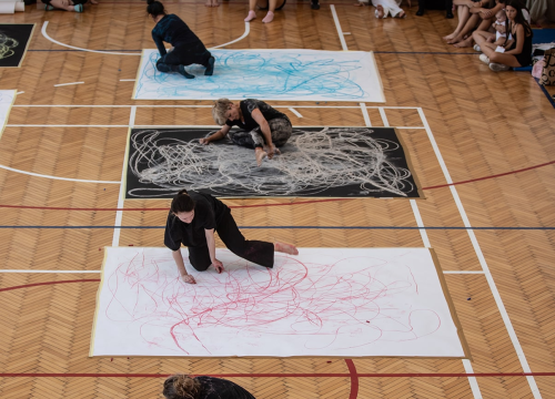 Fotografija 12 - Suvremeni ples osvaja šibenske tvrđave od 14. srpnja