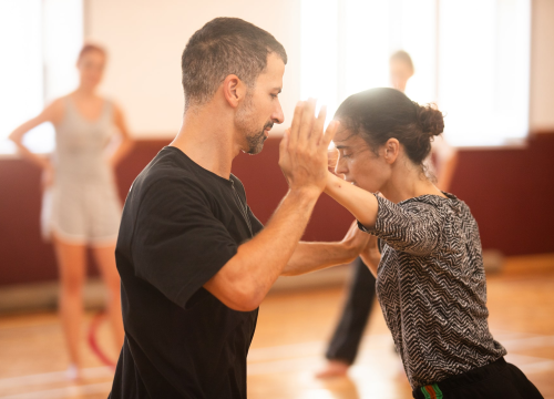 Fotografija 7 - Suvremeni ples osvaja šibenske tvrđave od 14. srpnja