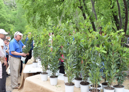 Fotografija 5 - NP Krka radi na podizanju svijesti o očuvanju okoliša